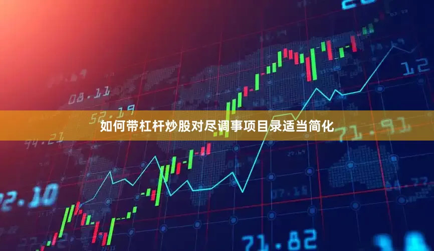 如何带杠杆炒股对尽调事项目录适当简化