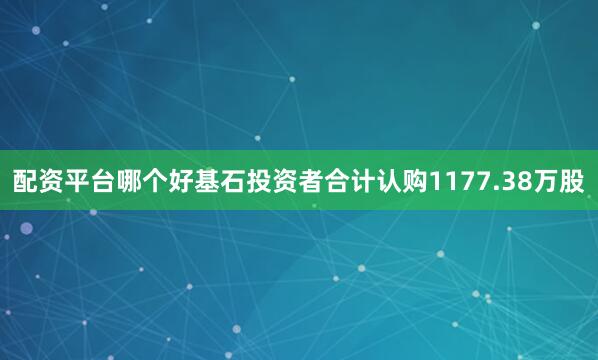 配资平台哪个好基石投资者合计认购1177.38万股