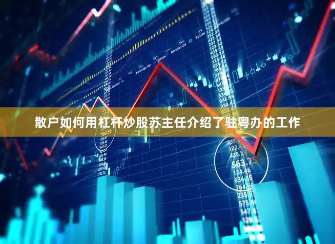 散户如何用杠杆炒股苏主任介绍了驻粤办的工作
