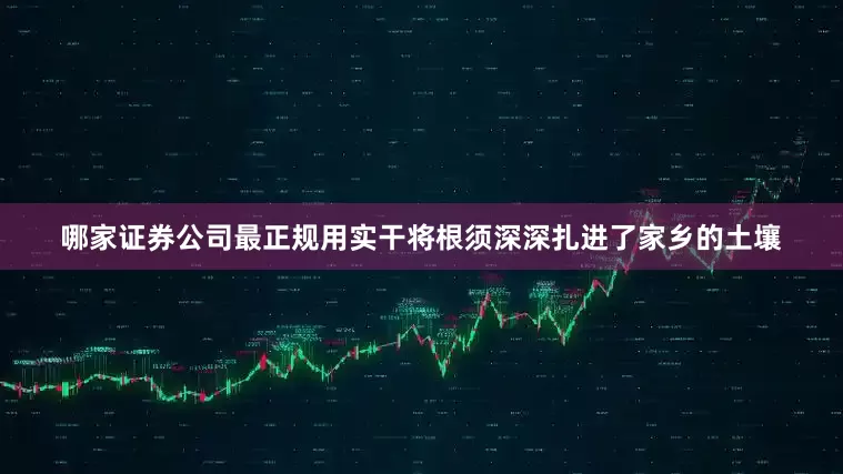 哪家证券公司最正规用实干将根须深深扎进了家乡的土壤